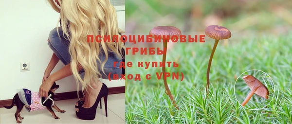 спайс Аркадак